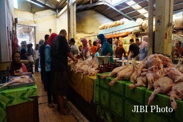 ayam tiren di Bantul