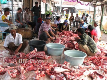 surat keterangan kesehatan hewan