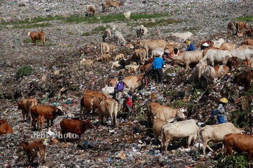 TPA Sampah Piyungan