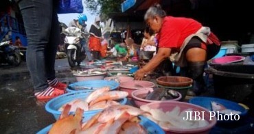 konsumsi ikan bantul