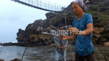 Lobster air tawar Gunungkidul