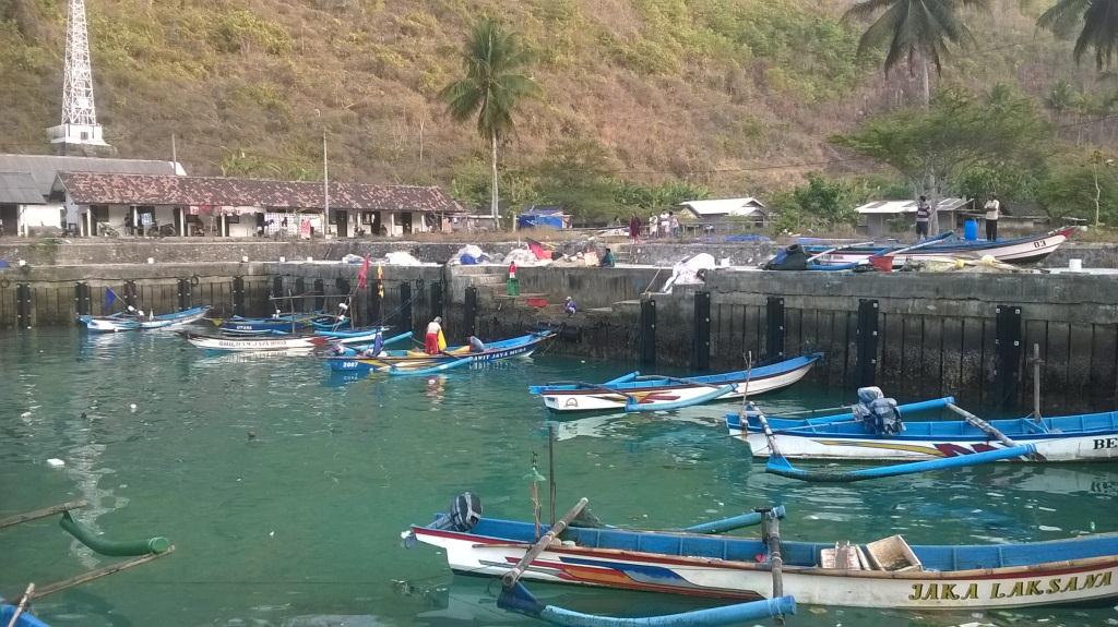 konsumsi ikan di bantul