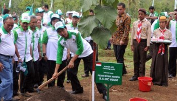 Warga India Menanam 220 Juta Pohon Dalam Satu Hari