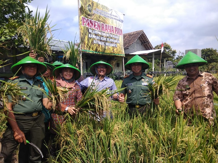 Lahan pertanian kena tol Solo-Jogja