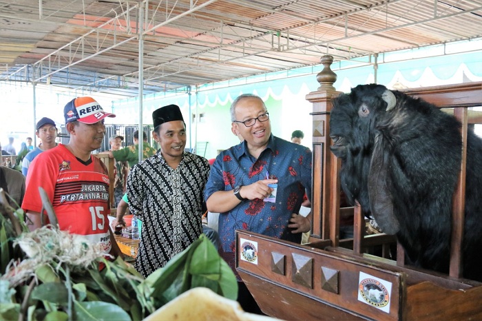 Kontes Kambing Kaligesing 'Piala Raja 2018'