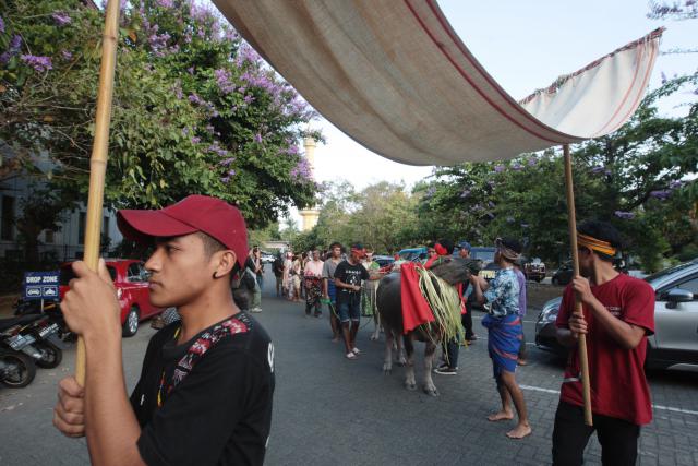 Mahasiswa asal Sumba Gelar Pawai Budaya Kedde