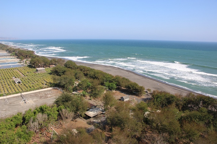 gelombang pantai selatan