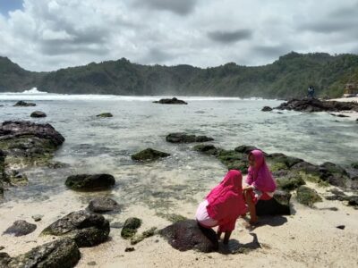 potensi tsunami pantai selatan