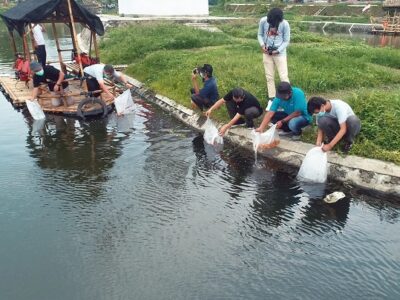 ikan menurunkan darah tinggi