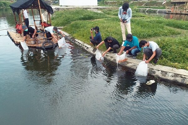 ikan menurunkan darah tinggi