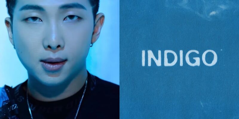 RM RIIS INDIGO