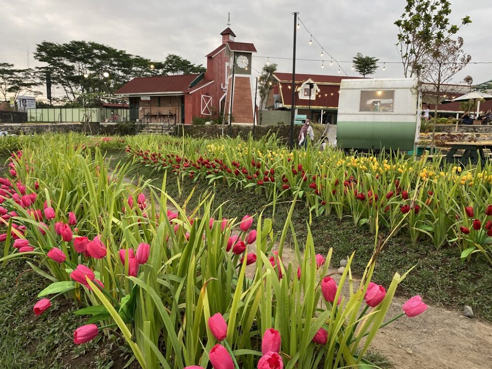 la li sa farmer’s village