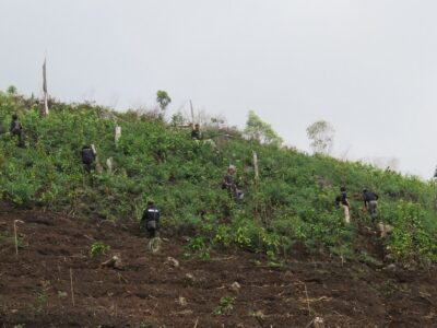 gunung lawu