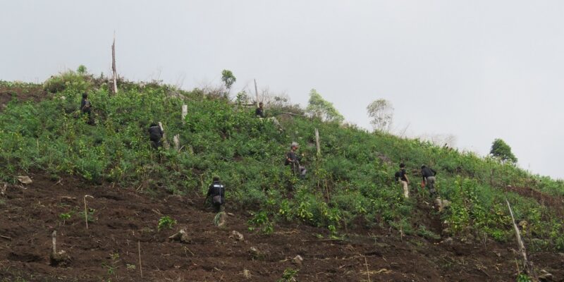 gunung lawu