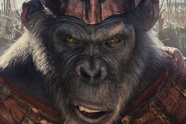 Film Kingdom of the Planet of the Apes