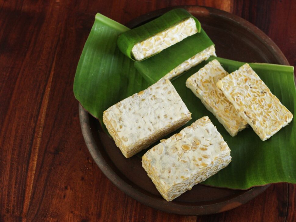 Bolehkah Makan Tempe Mentah