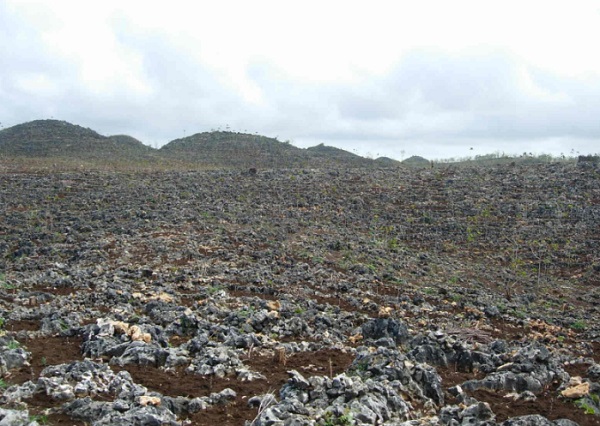 Suaka Margasatwa Paliyan