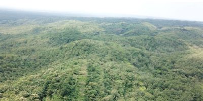 Suaka Margasatwa Paliyan