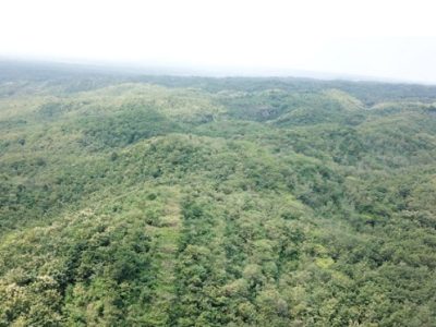 Suaka Margasatwa Paliyan