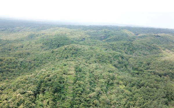 Suaka Margasatwa Paliyan