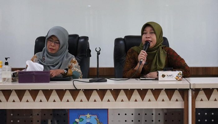 capaian pembangunan sleman