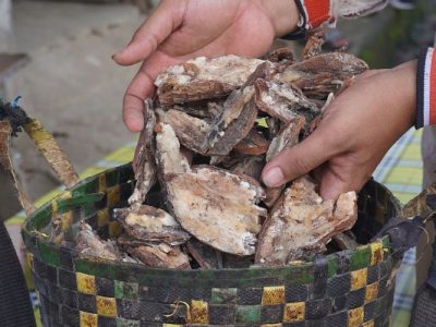 Kemenyan Indonesia