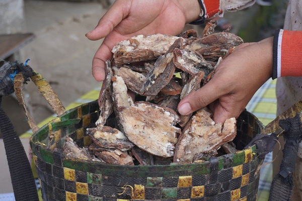 Kemenyan Indonesia