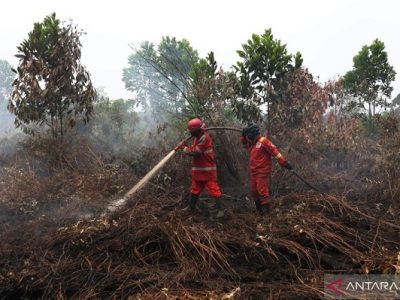 karhutla Indonesia
